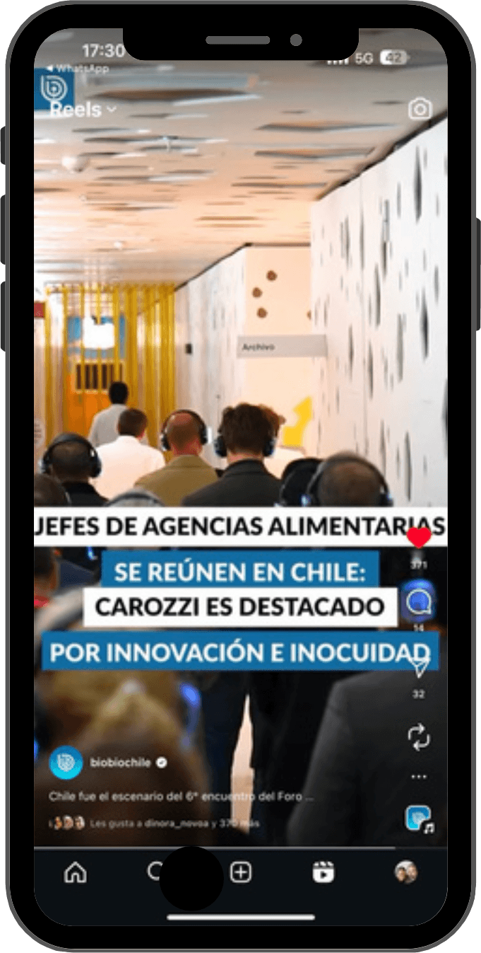 Reel IG orgánico