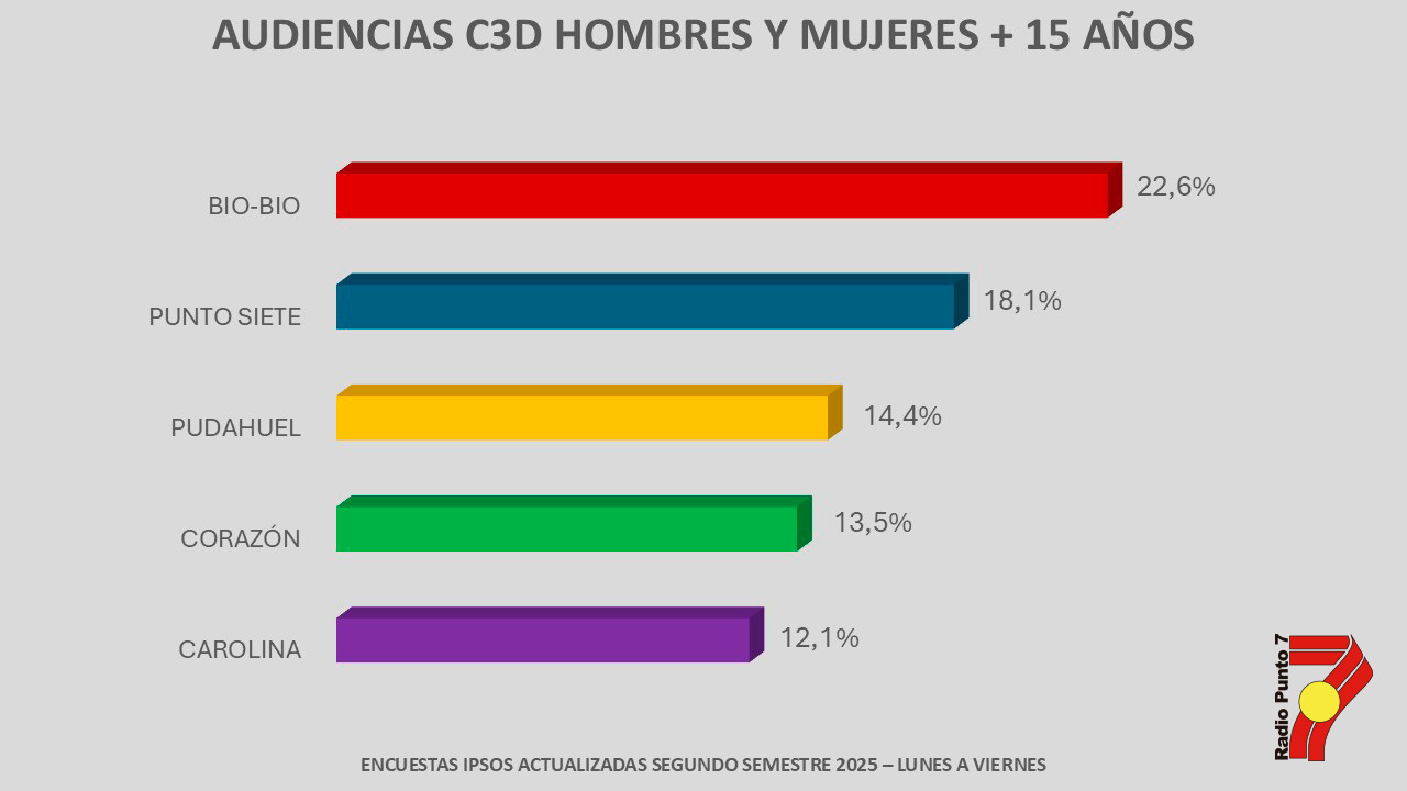 audiencia general punto 7