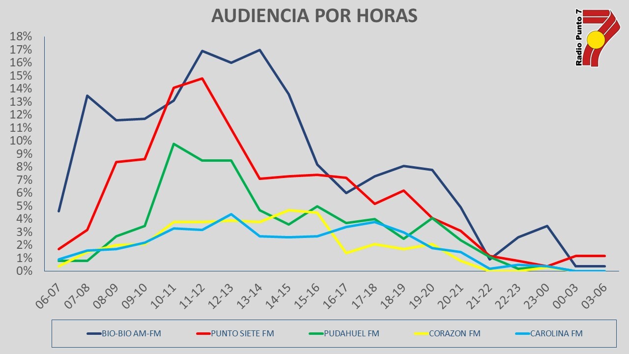 audiencia concepcion punto 7
