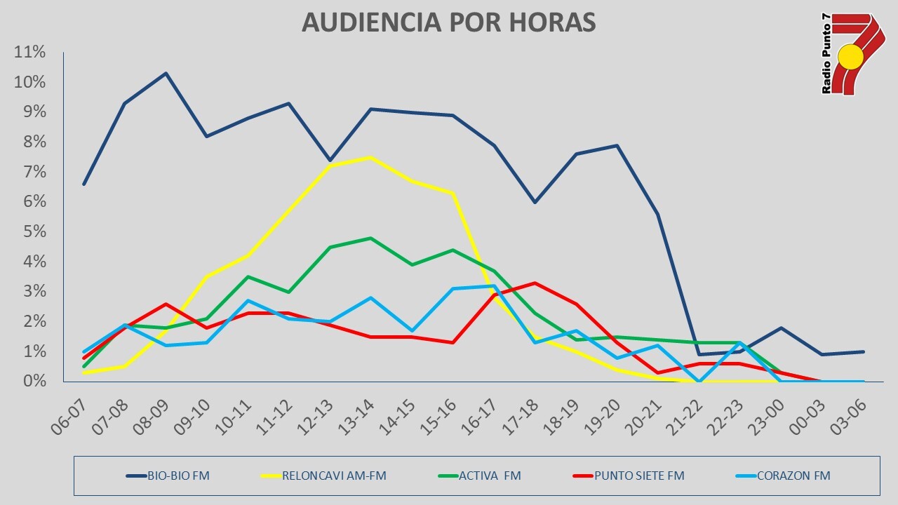 audiencia puerto montt punto 7