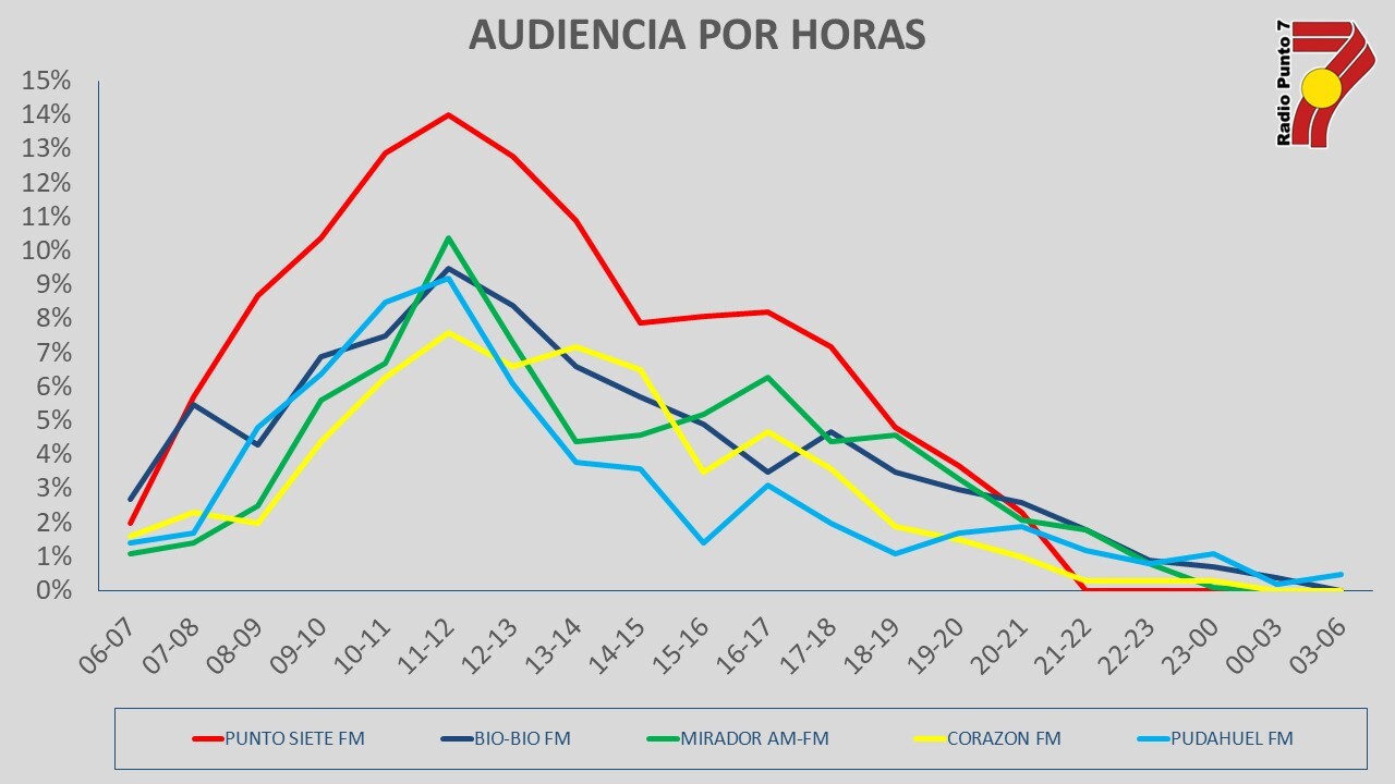 audiencia temuco punto 7