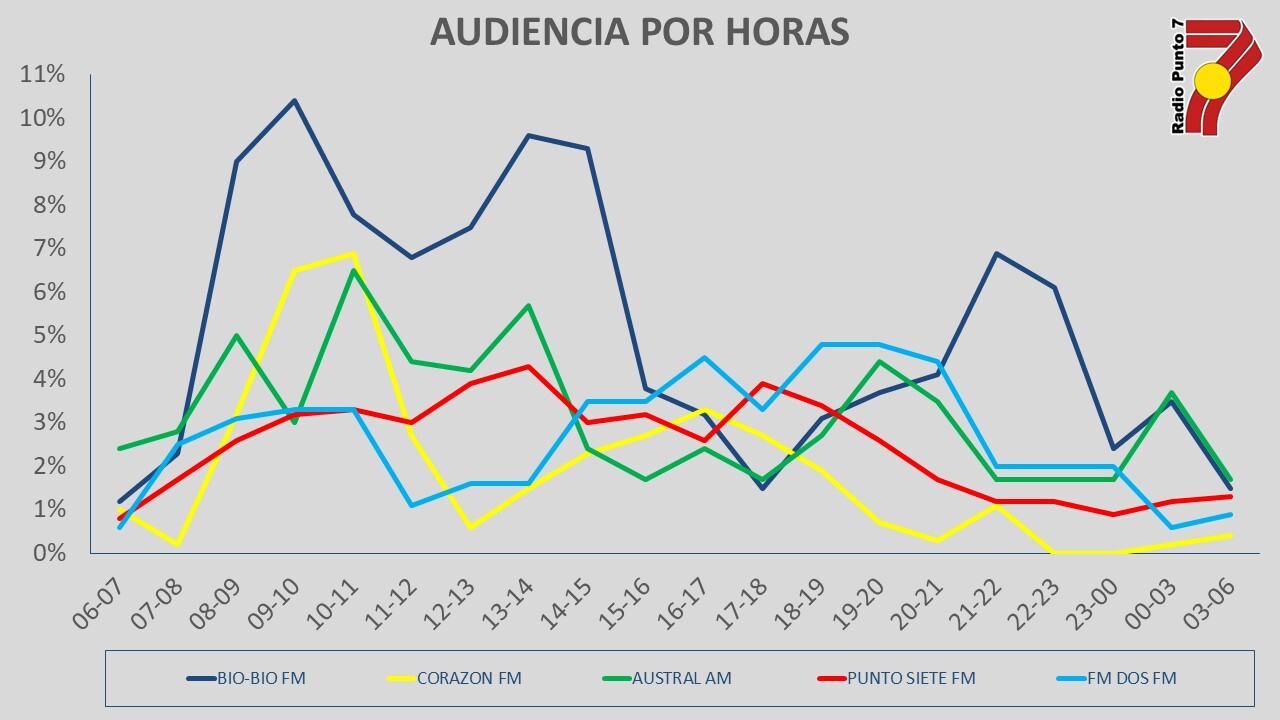 audiencia valdivia punto 7